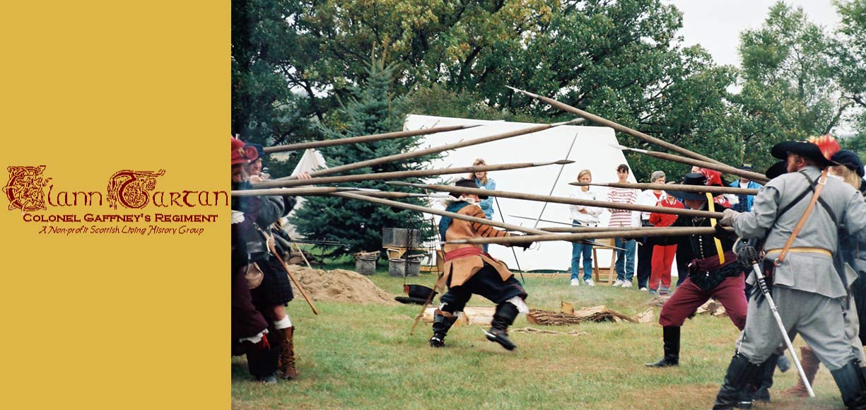 pike-fencing banner