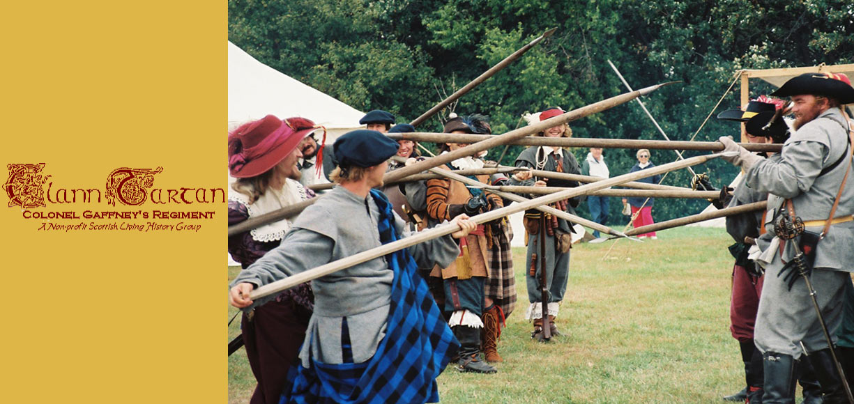 pike fencing banner